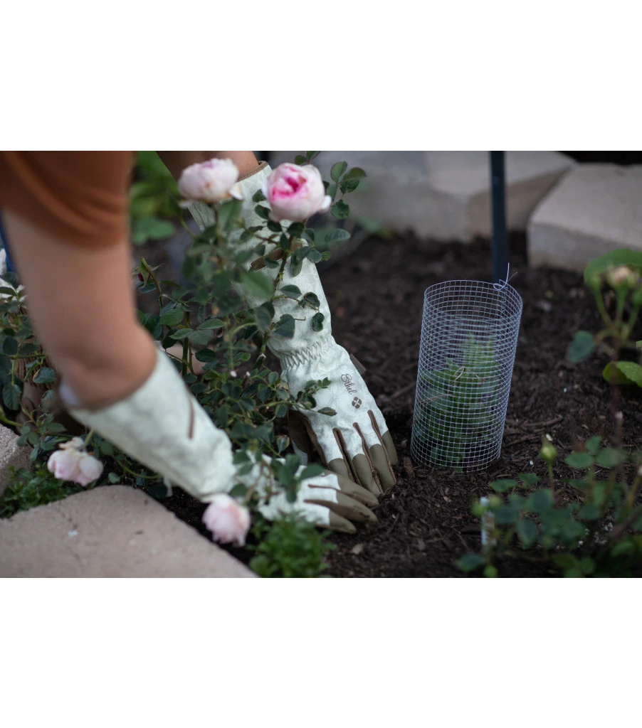 Mechanix Ethel® Garden Rose - Image 3