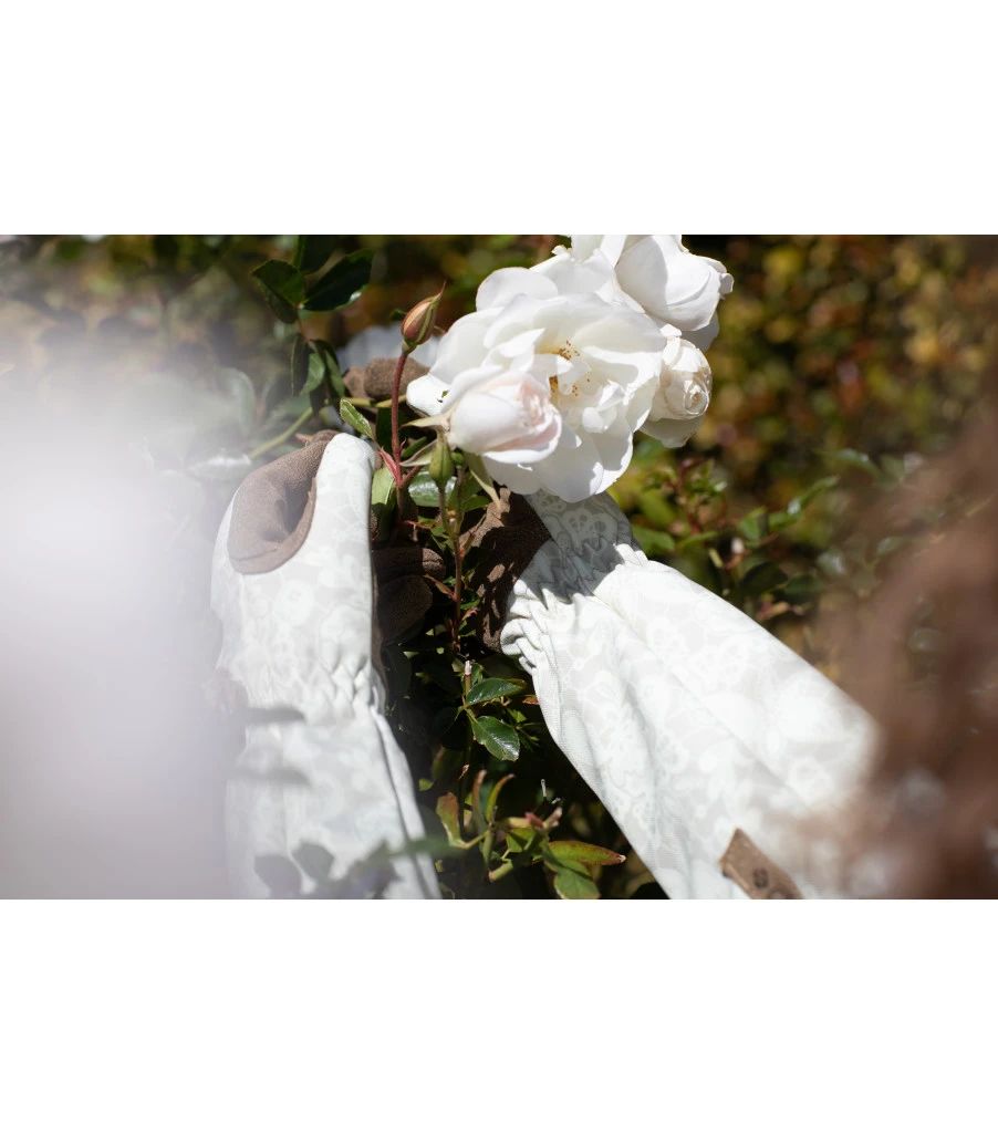 Mechanix Ethel® Garden Rose - Image 4